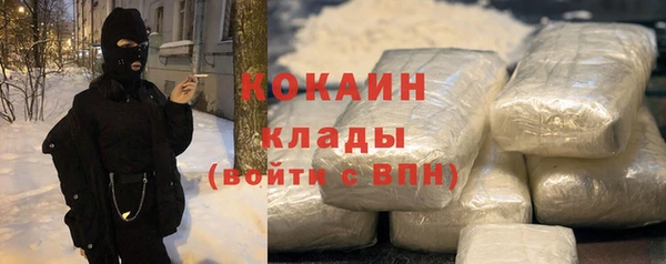 крисы Каменка