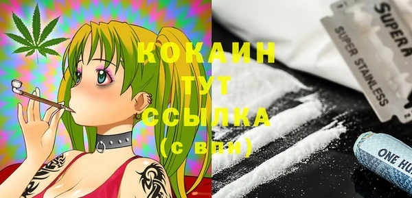 индика Зерноград