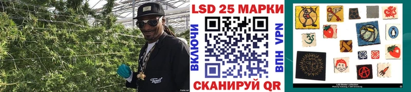 Купить  Гудермес  Марки 25I-NBOMe 1,5мг 